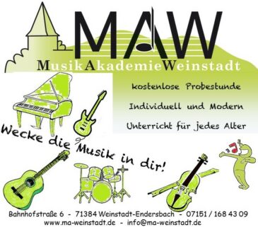 4 Unterrichtsstunden á 30 Minuten für Erwachsene auf der Gitarre - Musikakademie Weinstadt
